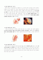 태내기 발달 8페이지