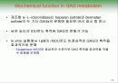 뮤코다당증 치료제 (알두라자임) 10페이지