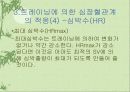 트레이닝에 의한 심폐기능의 적응 16페이지