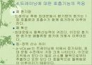 트레이닝에 의한 심폐기능의 적응 26페이지
