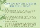 트레이닝에 의한 심폐기능의 적응 32페이지