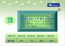 IMC성공사례 분석 [SK텔레콤,BMW] 20페이지