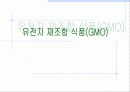 [a+]유전자 재조합 식품(GMO) 1페이지