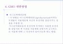 [a+]유전자 재조합 식품(GMO) 5페이지