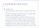 [a+]유전자 재조합 식품(GMO) 15페이지
