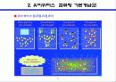 유비퀴터스 혁명이란 무엇인가? 5페이지