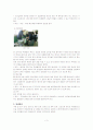 급식소의 실태조사 3페이지