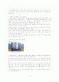 급식소의 실태조사 6페이지