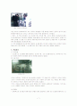 급식소의 실태조사 7페이지