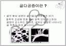골다공증 4페이지