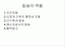 골다공증 10페이지