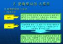 스포츠 문화의 형성과 반영 6페이지