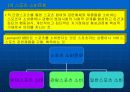 스포츠 문화의 형성과 반영 11페이지