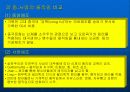 스포츠 문화의 형성과 반영 13페이지