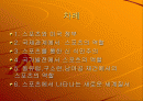 스포츠와 정치 2페이지