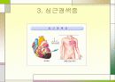 심장질환의 종류 및 예방 16페이지