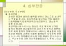 심장질환의 종류 및 예방 29페이지