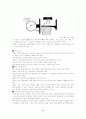 농구(바스켓볼)에 대하여 3페이지