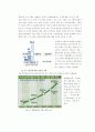 [경영학원론]롯데백화점의 환경경영 사례조사 (A+리포트) 14페이지