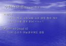 공개키 알고리즘 (RSA)의 이해 및 실전 10페이지