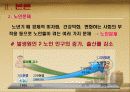 노인문제와 노인복지정책 4페이지