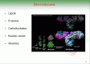 Biochemistry & Enzyme (생화학 및 효소 개론) 2페이지