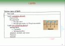 Biochemistry & Enzyme (생화학 및 효소 개론) 4페이지