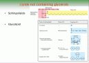 Biochemistry & Enzyme (생화학 및 효소 개론) 8페이지