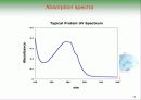 Biochemistry & Enzyme (생화학 및 효소 개론) 13페이지