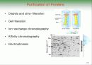 Biochemistry & Enzyme (생화학 및 효소 개론) 16페이지