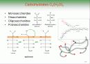 Biochemistry & Enzyme (생화학 및 효소 개론) 17페이지