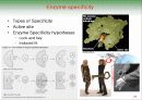 Biochemistry & Enzyme (생화학 및 효소 개론) 24페이지