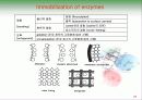 Biochemistry & Enzyme (생화학 및 효소 개론) 25페이지
