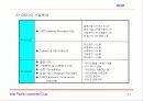 인터넷 금융 - 투자유치를 위한 사업계획서 11페이지
