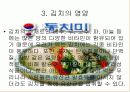 김치에 대하여 4페이지