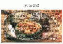 김치에 대하여 10페이지