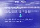 쌀의 건조와 저장 8페이지