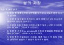 쌀의 건조와 저장 9페이지