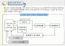지방정치와 권력구조 11페이지