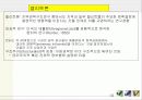 지방정치와 권력구조 13페이지