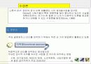 지방정치와 권력구조 15페이지