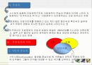 지방정치와 권력구조 19페이지