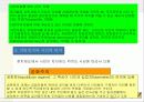 지방정치와 권력구조 20페이지