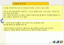 지방정치와 권력구조 21페이지