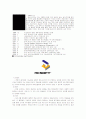NC SOFT에 대해서 5페이지