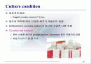 1차 세포 배양 25페이지