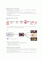 피부 줄기세포 7페이지