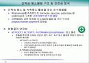 헛개나무(Hovenia dulcis Thunb) 17페이지