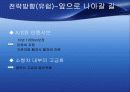 현대자동차 기업분석(스왓분석,포터,제무재표,산업분석,전략제시,해외시장등등 ) 51페이지