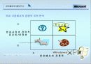 마이크로 소프트의 국제화 전략 20페이지